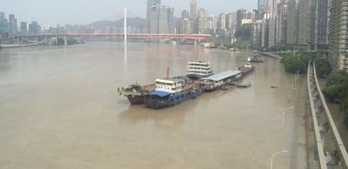 重庆洪水最新爆料信息